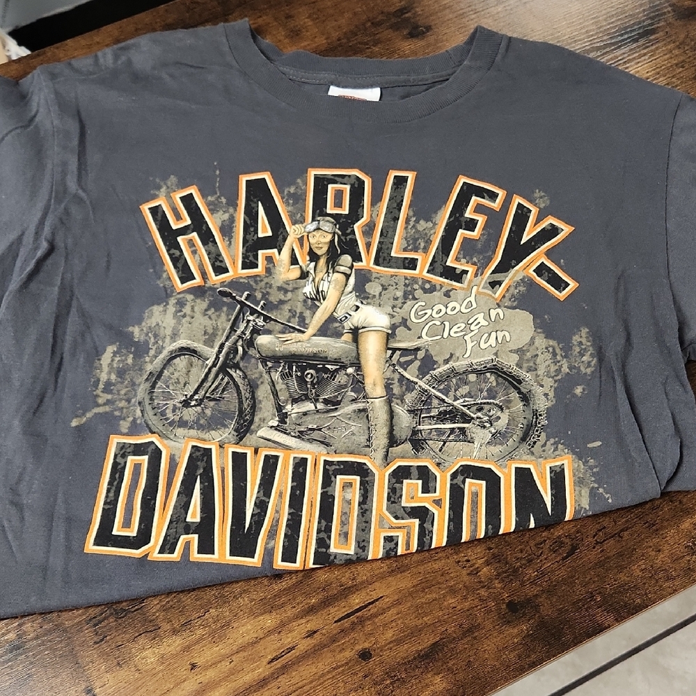 Harley-Davidson Gray Graphic T-Shirt